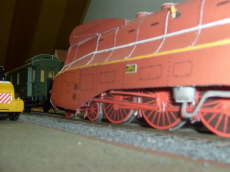 S6300419